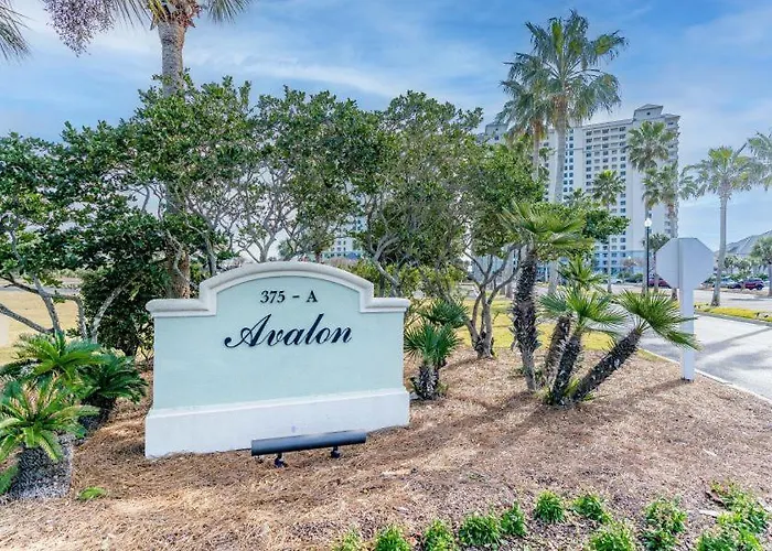 Apartment Club 1810a By Youngs Suncoast